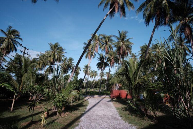 Coconut Tree Homestay Ban Wa Thon Екстер'єр фото