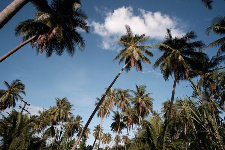 Coconut Tree Homestay Ban Wa Thon Екстер'єр фото